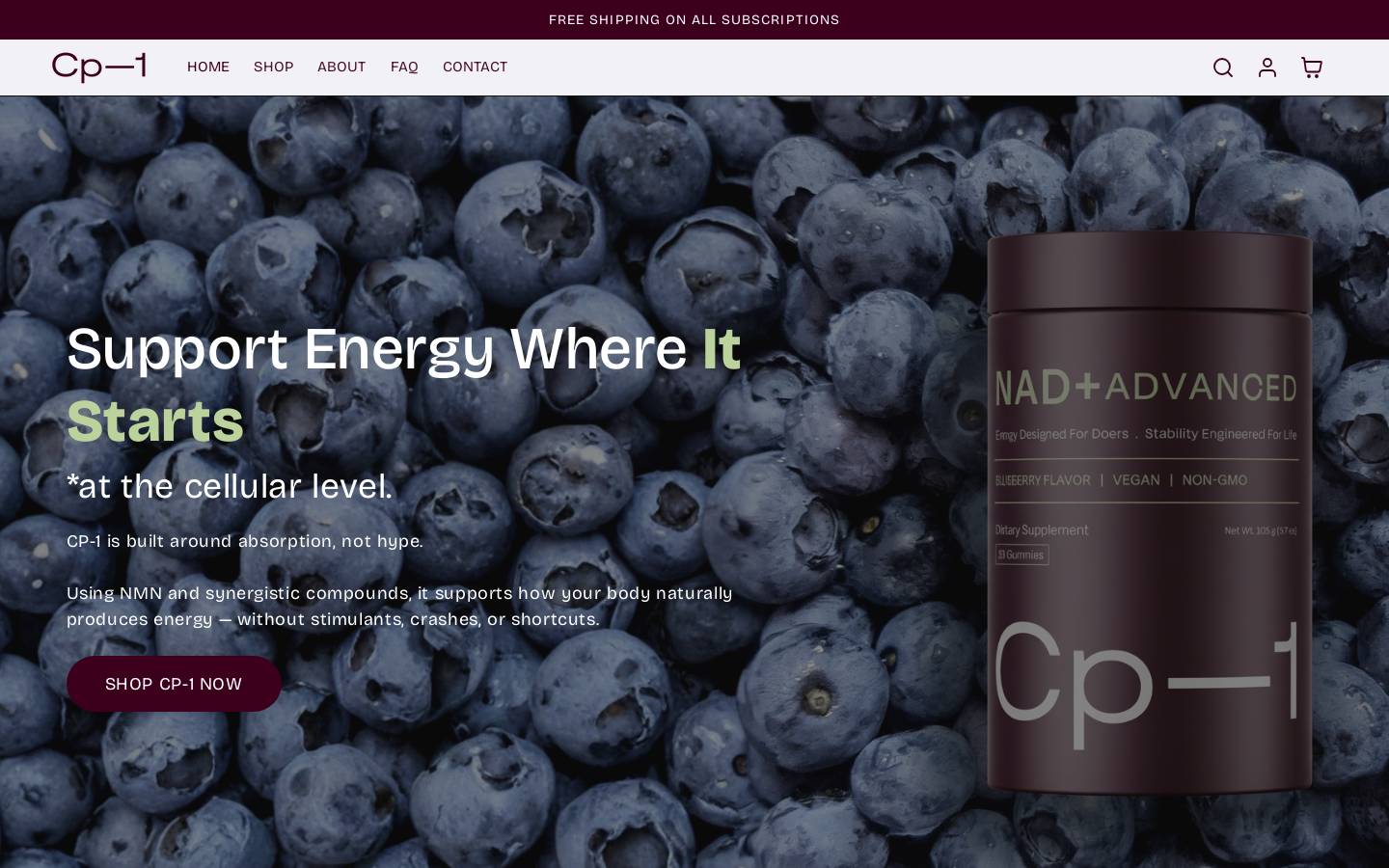 cp-1.com homepage screenshot