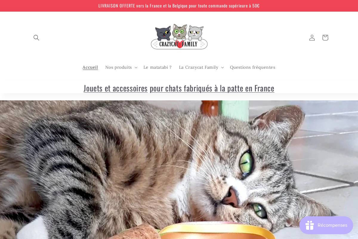 crazycatfamily.fr homepage screenshot