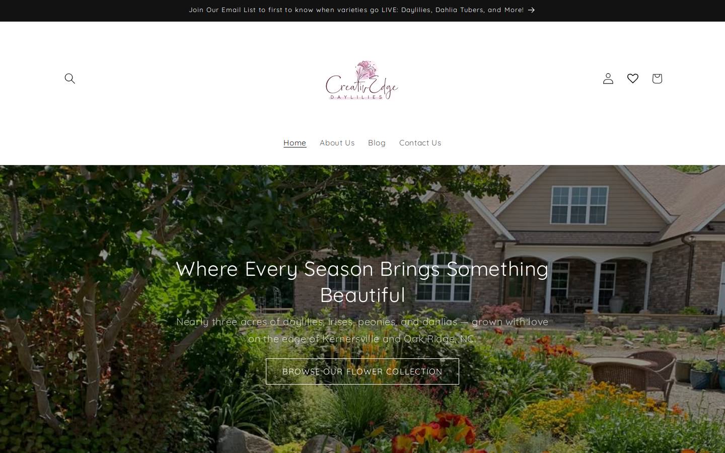 creativedgedaylilies.com homepage screenshot
