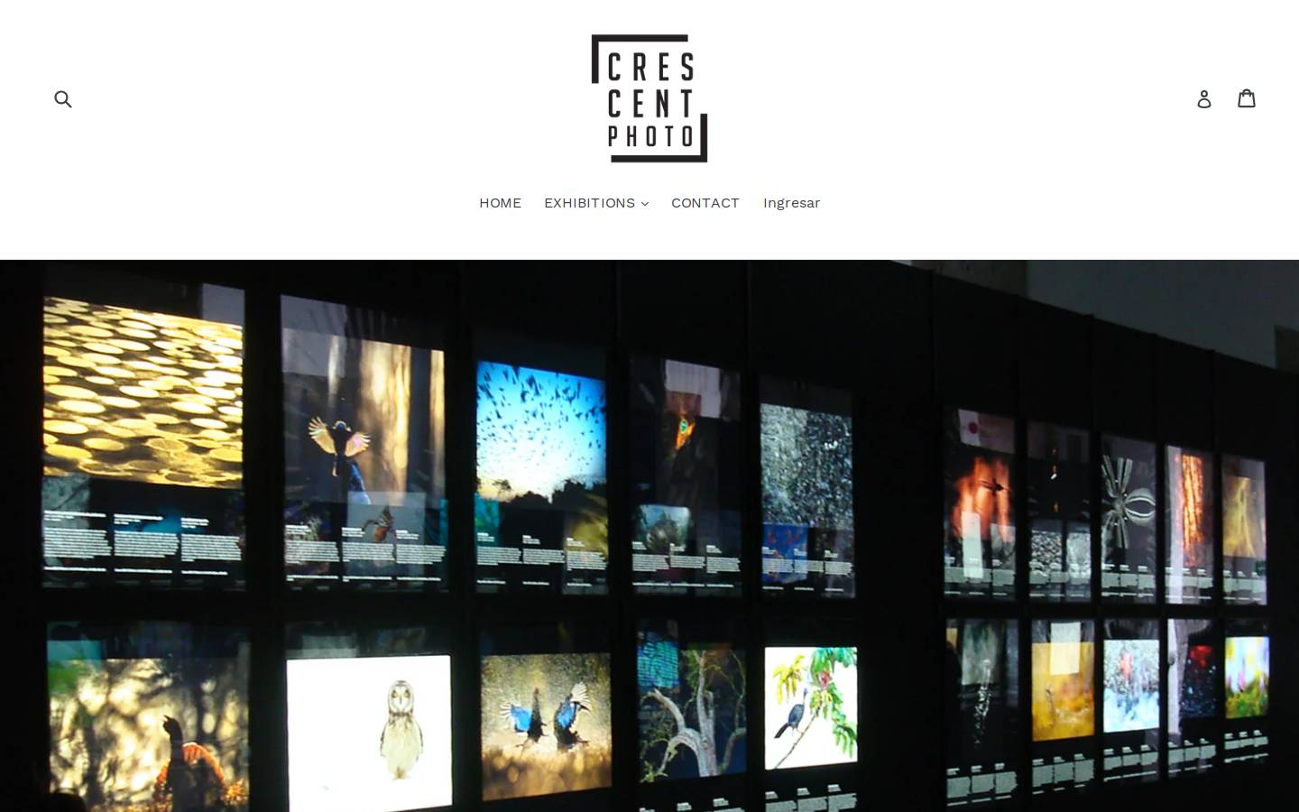 crescentphoto.eu homepage screenshot