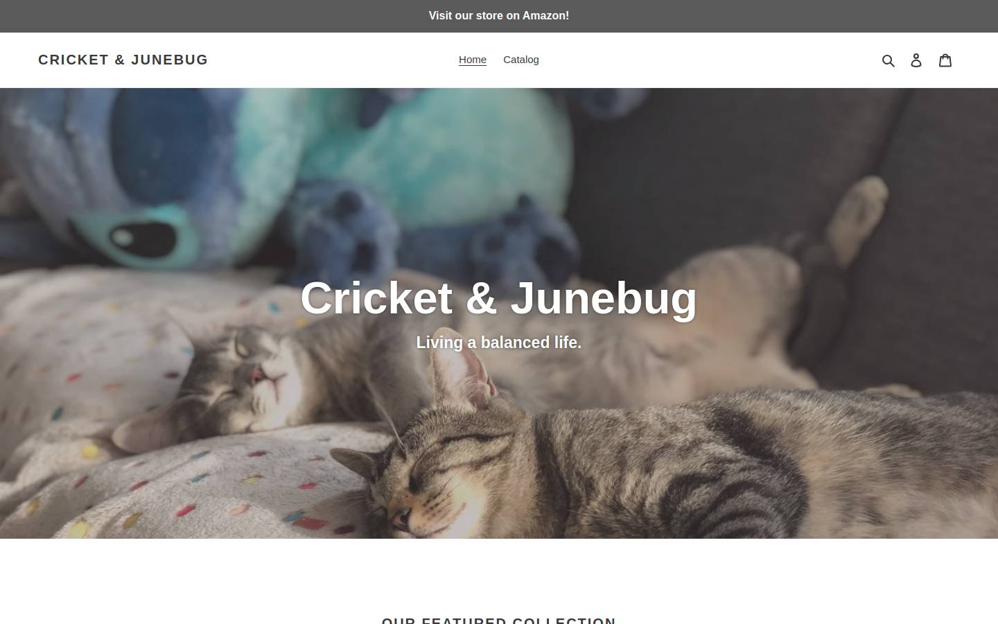cricketjunebug.com homepage screenshot