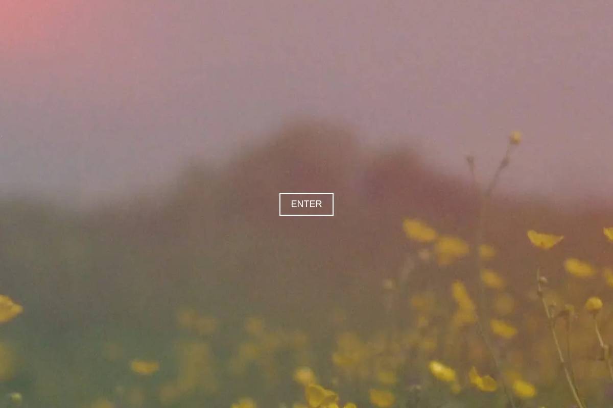 croimeala.com homepage screenshot