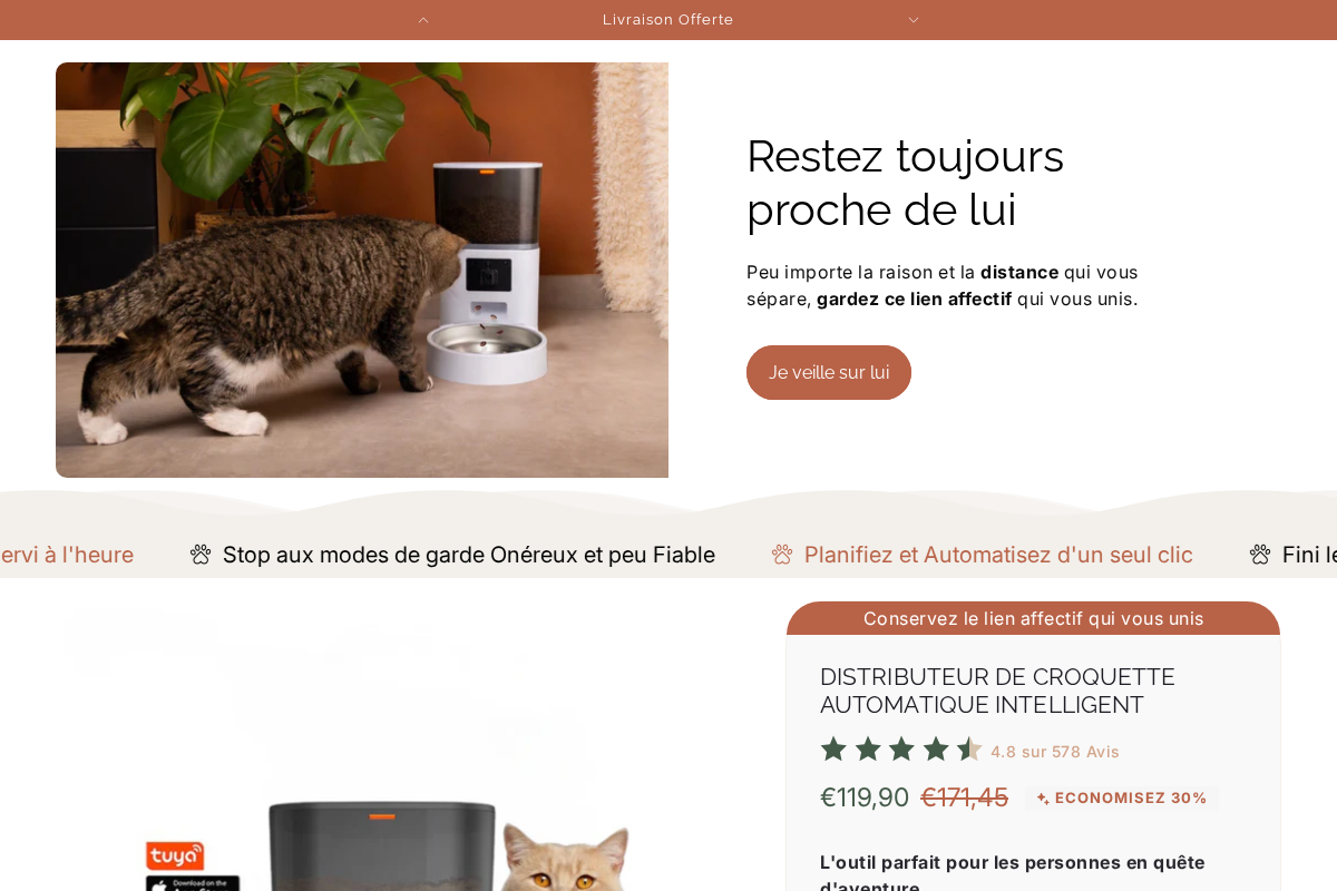 Croquicam homepage screenshot