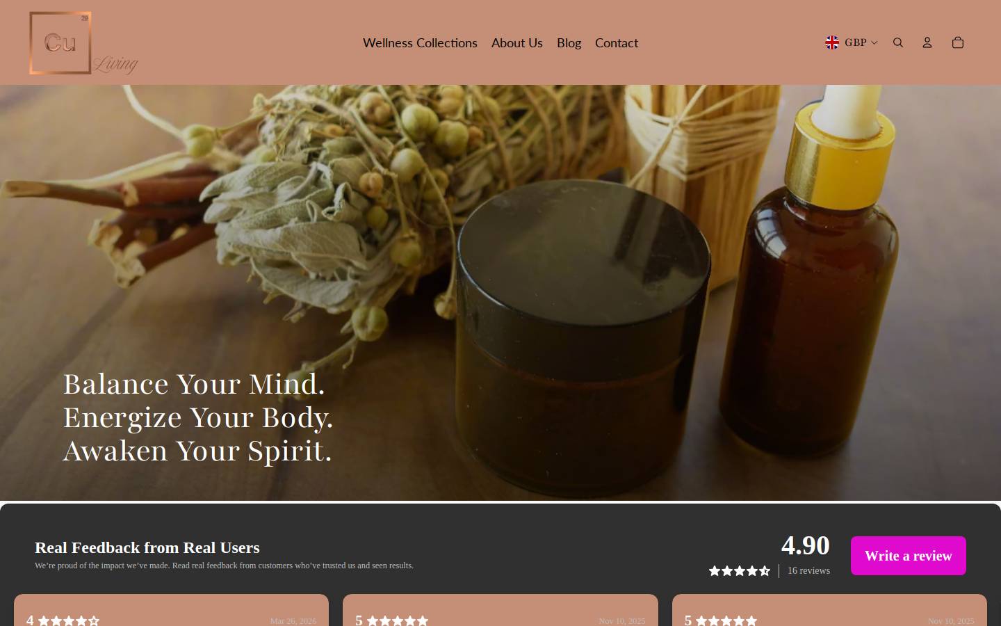 Cu 29company homepage screenshot