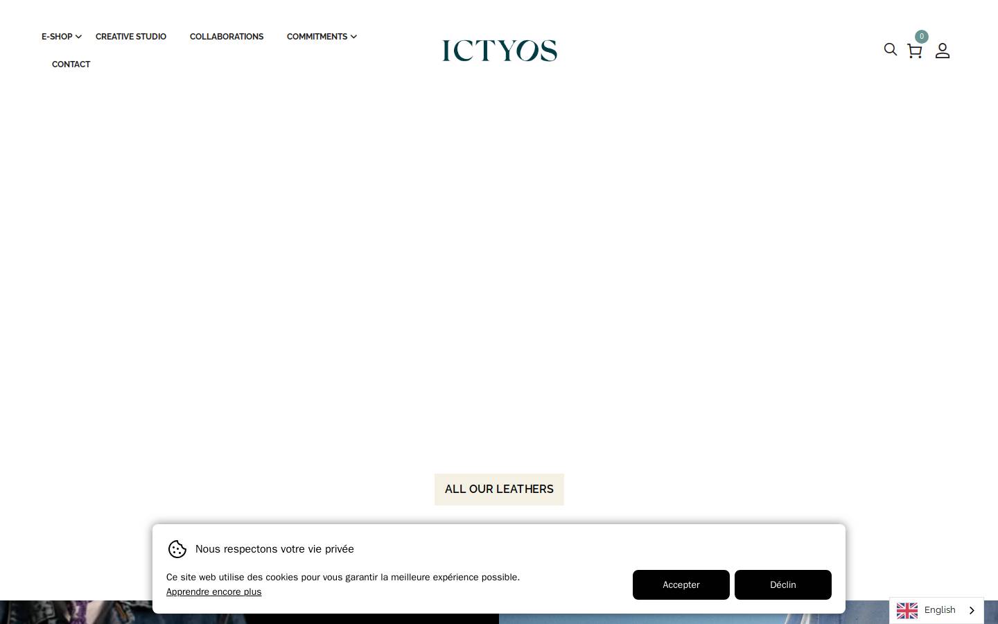 cuirmarindefrance.fr homepage screenshot