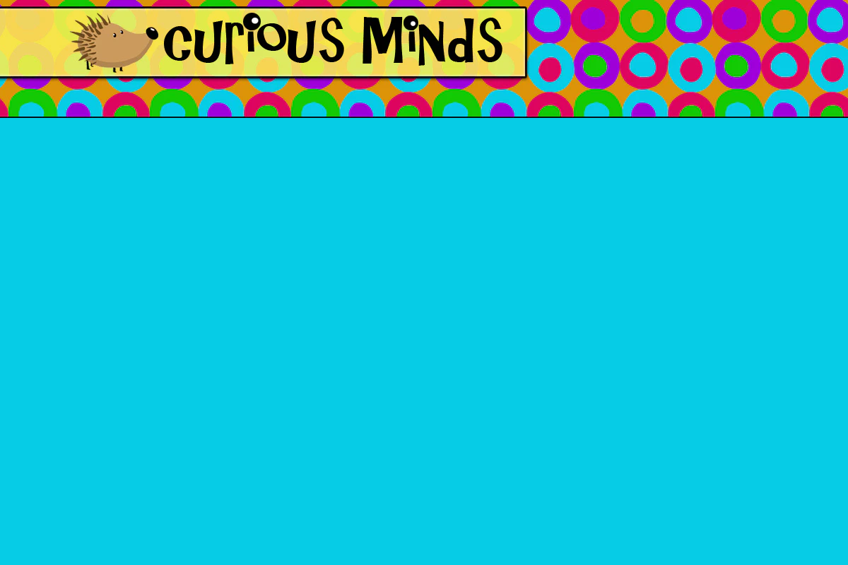 curiousmindsbusybags.com homepage screenshot
