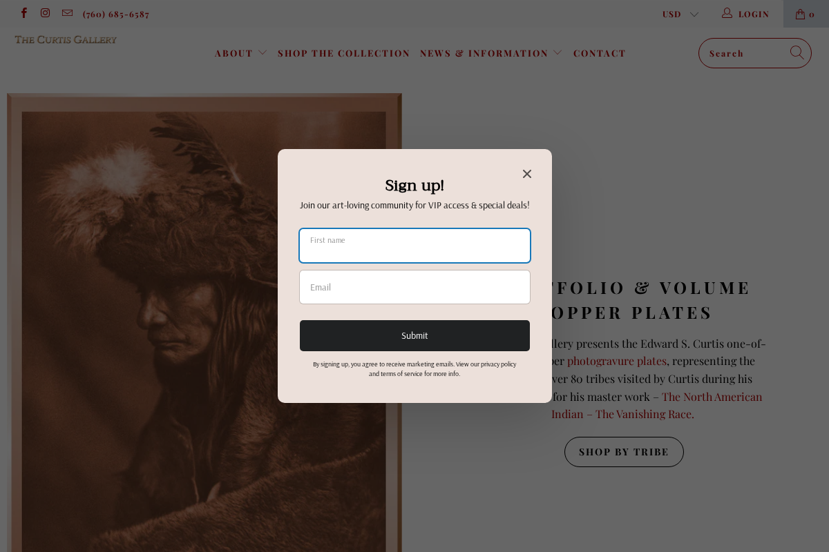 curtisgallery.com homepage screenshot