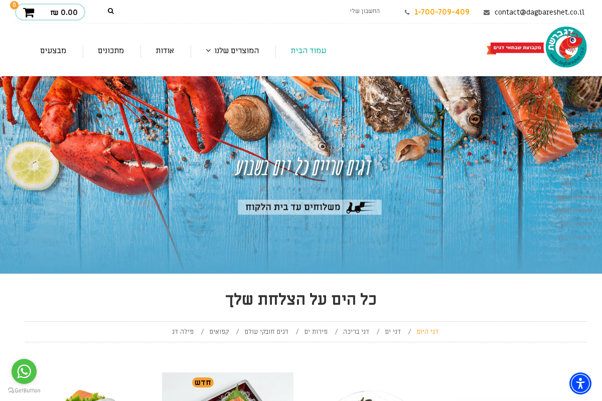 dagbareshet.co.il homepage screenshot