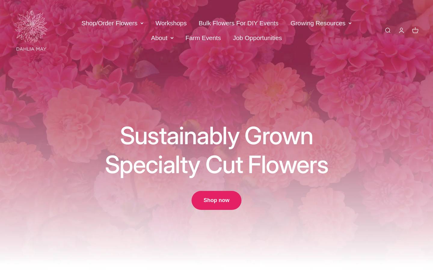 dahliamay.com homepage screenshot
