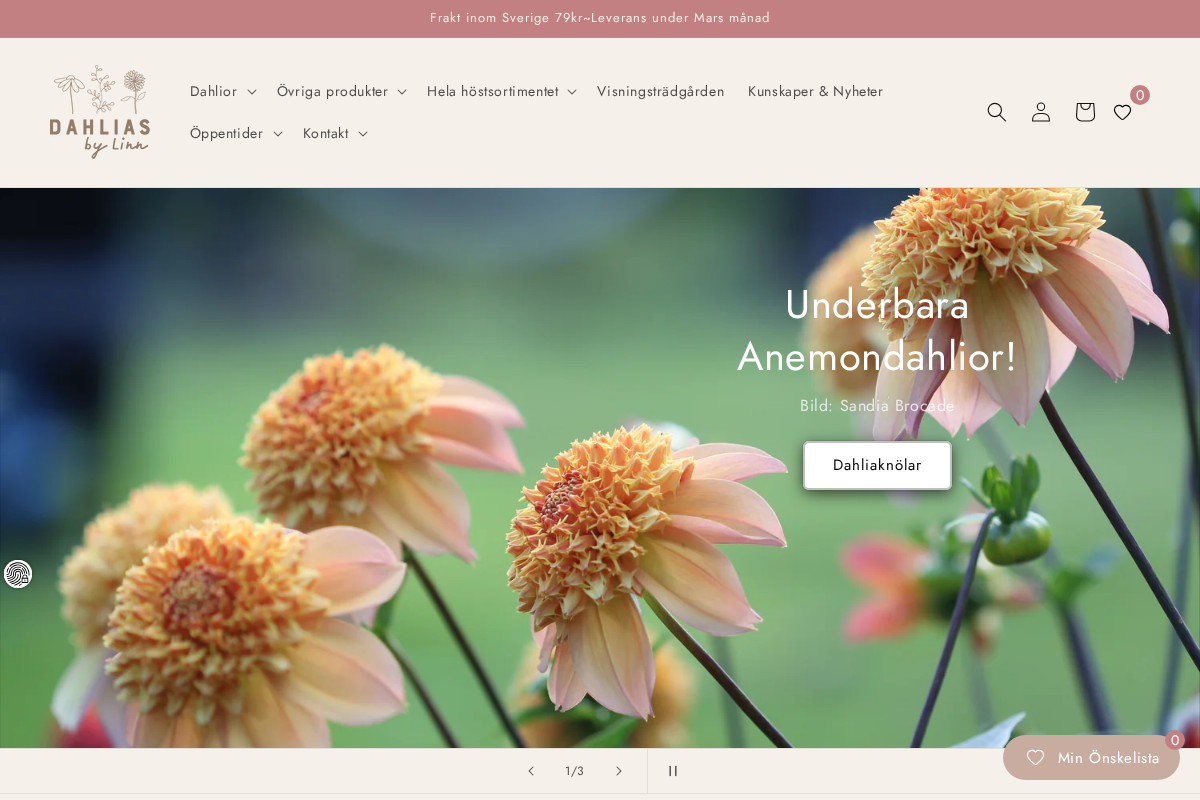 Dahliasbylinn homepage screenshot
