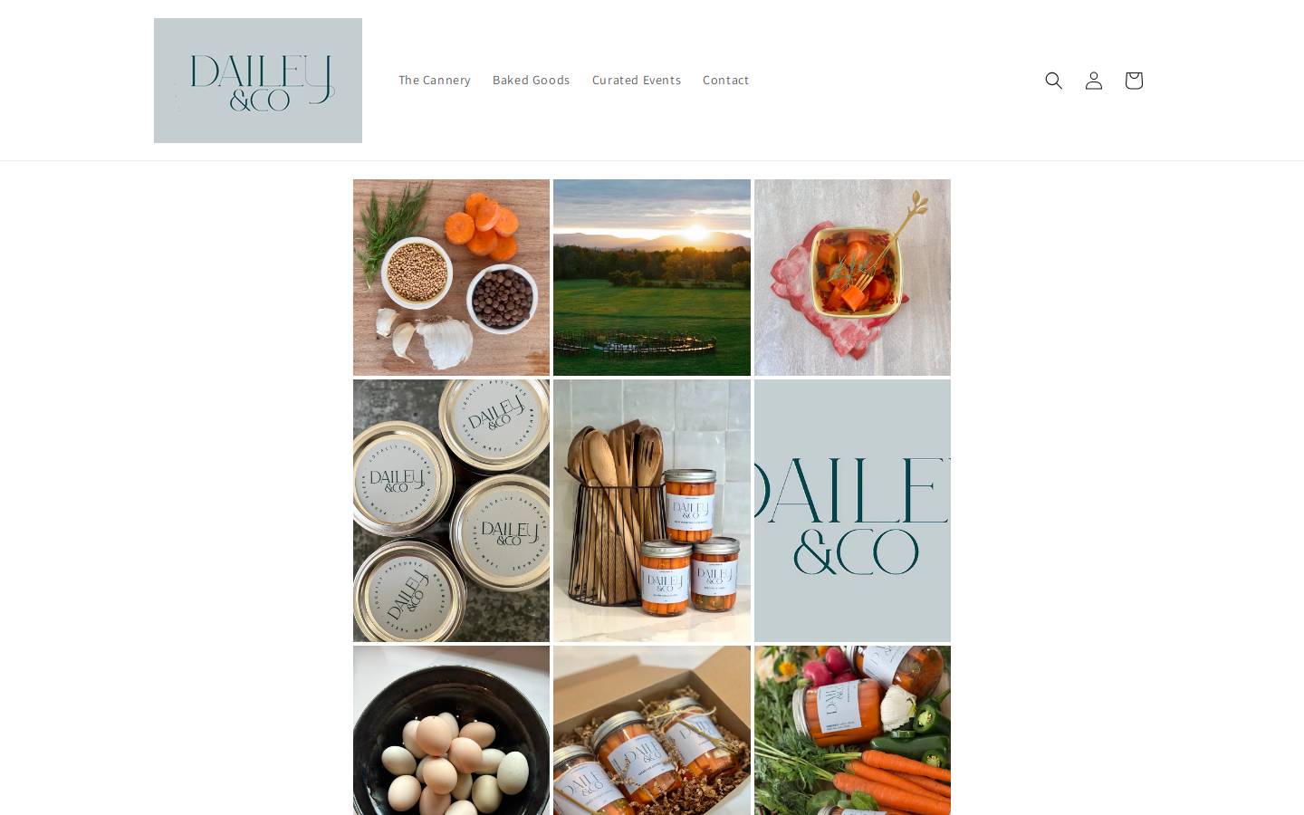 daileyandco.com homepage screenshot