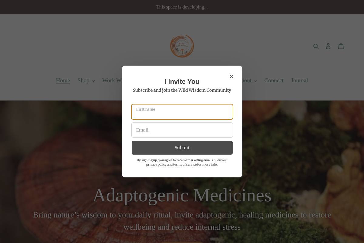 daisy-wildwisdom.com homepage screenshot