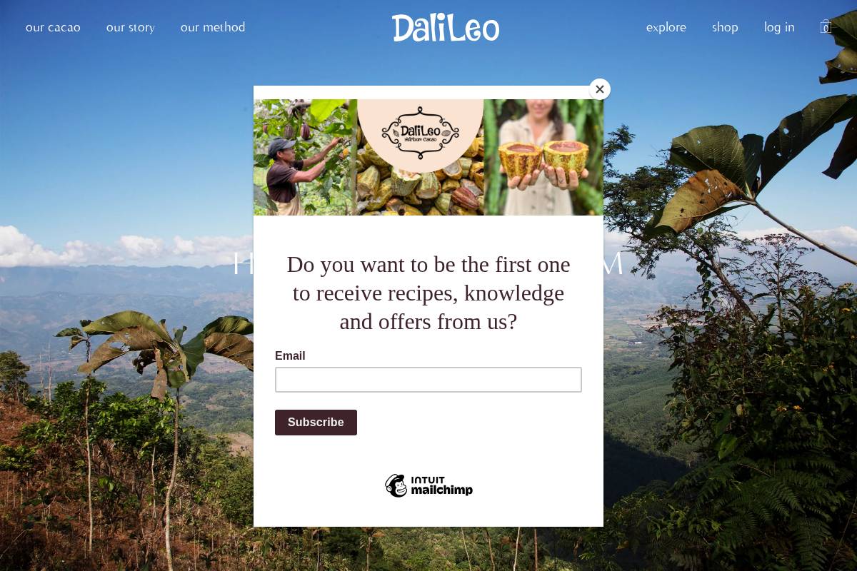 dalileocacao.com homepage screenshot