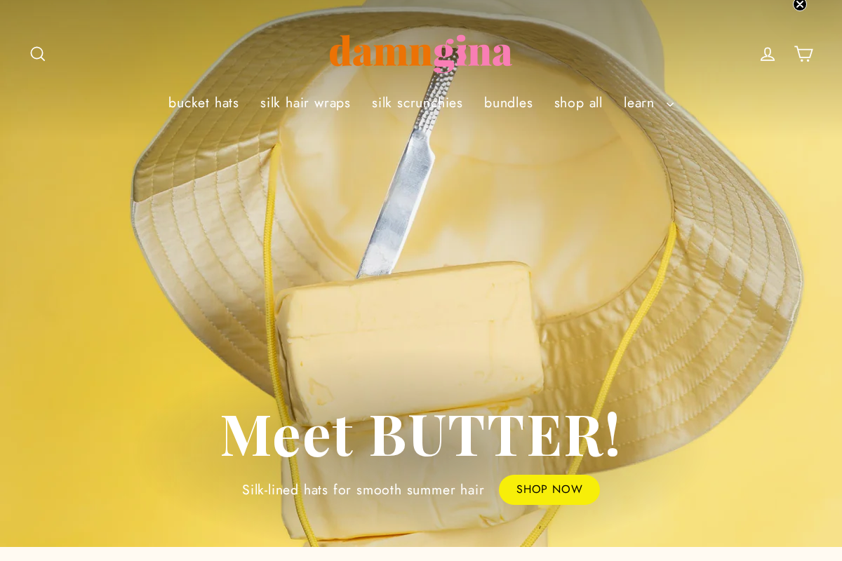 Damn Gina homepage screenshot