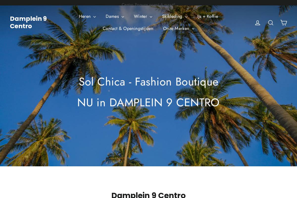 damplein9.com homepage screenshot