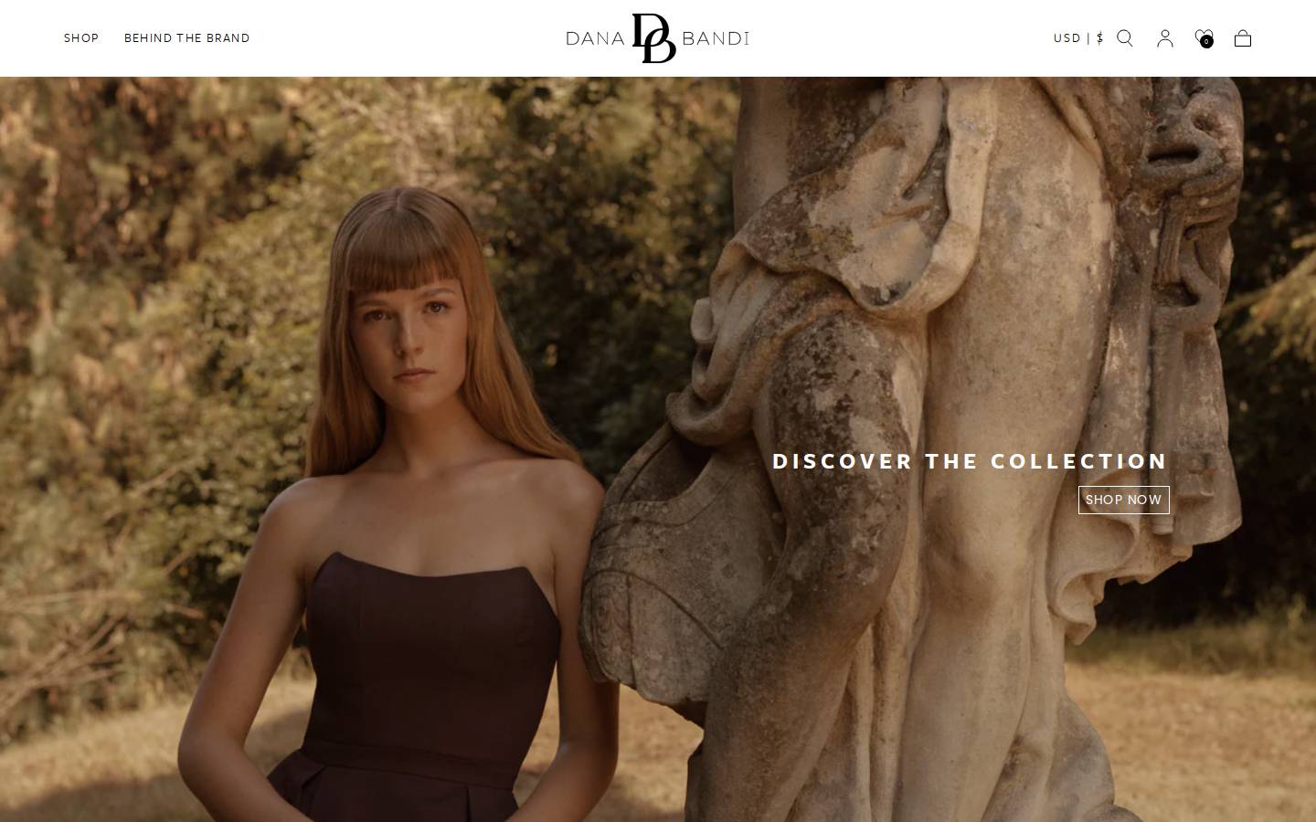 danabandi.info homepage screenshot