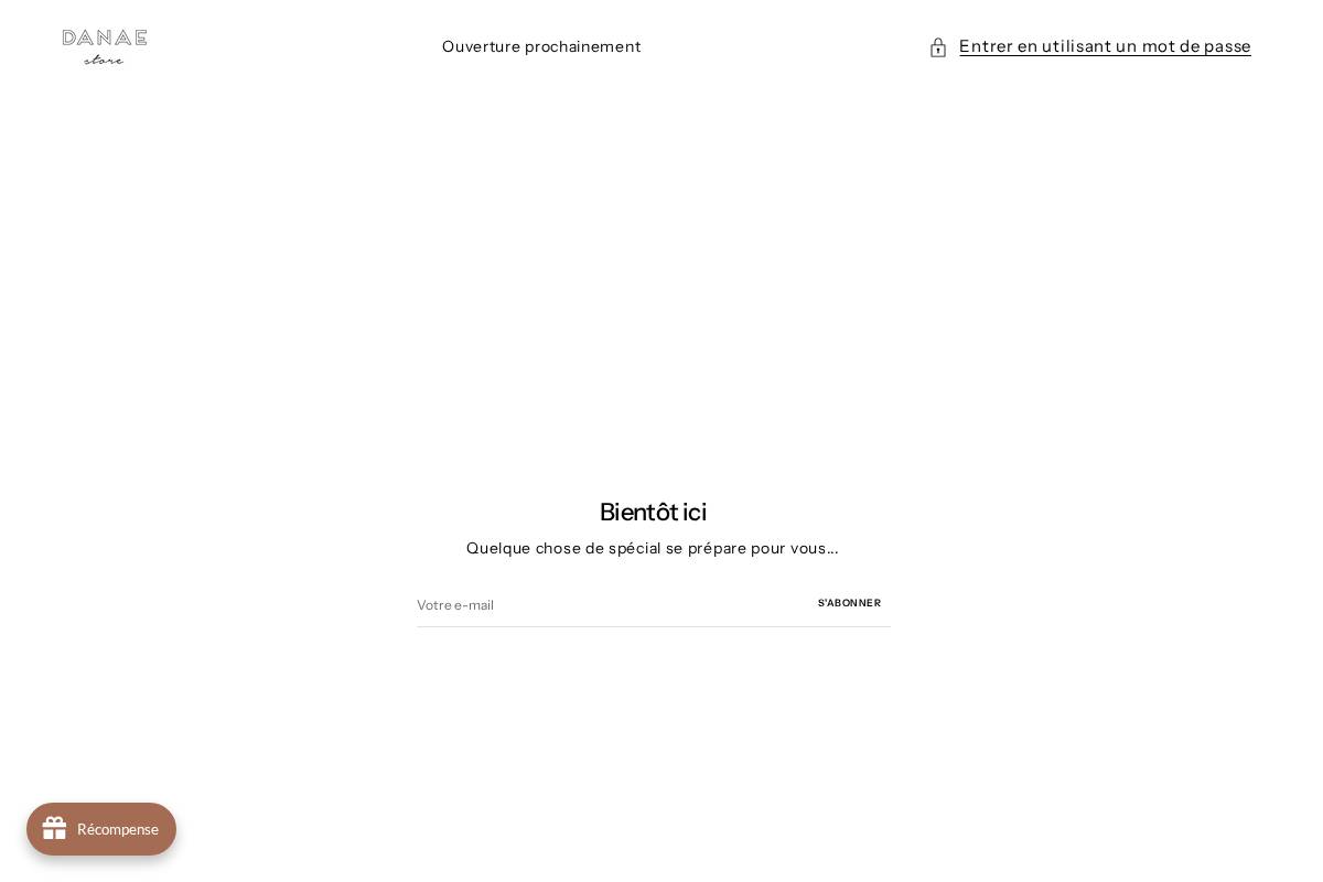 danaestore.fr homepage screenshot