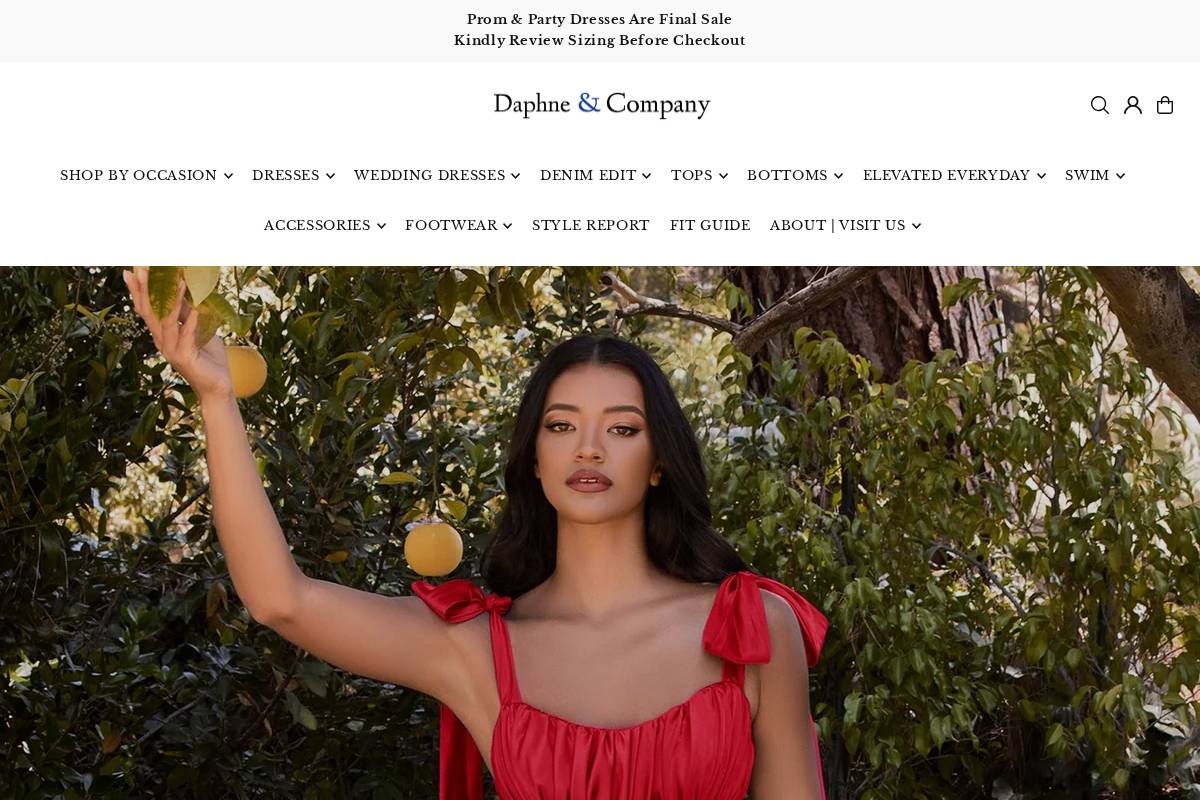 dandcstore.com homepage screenshot