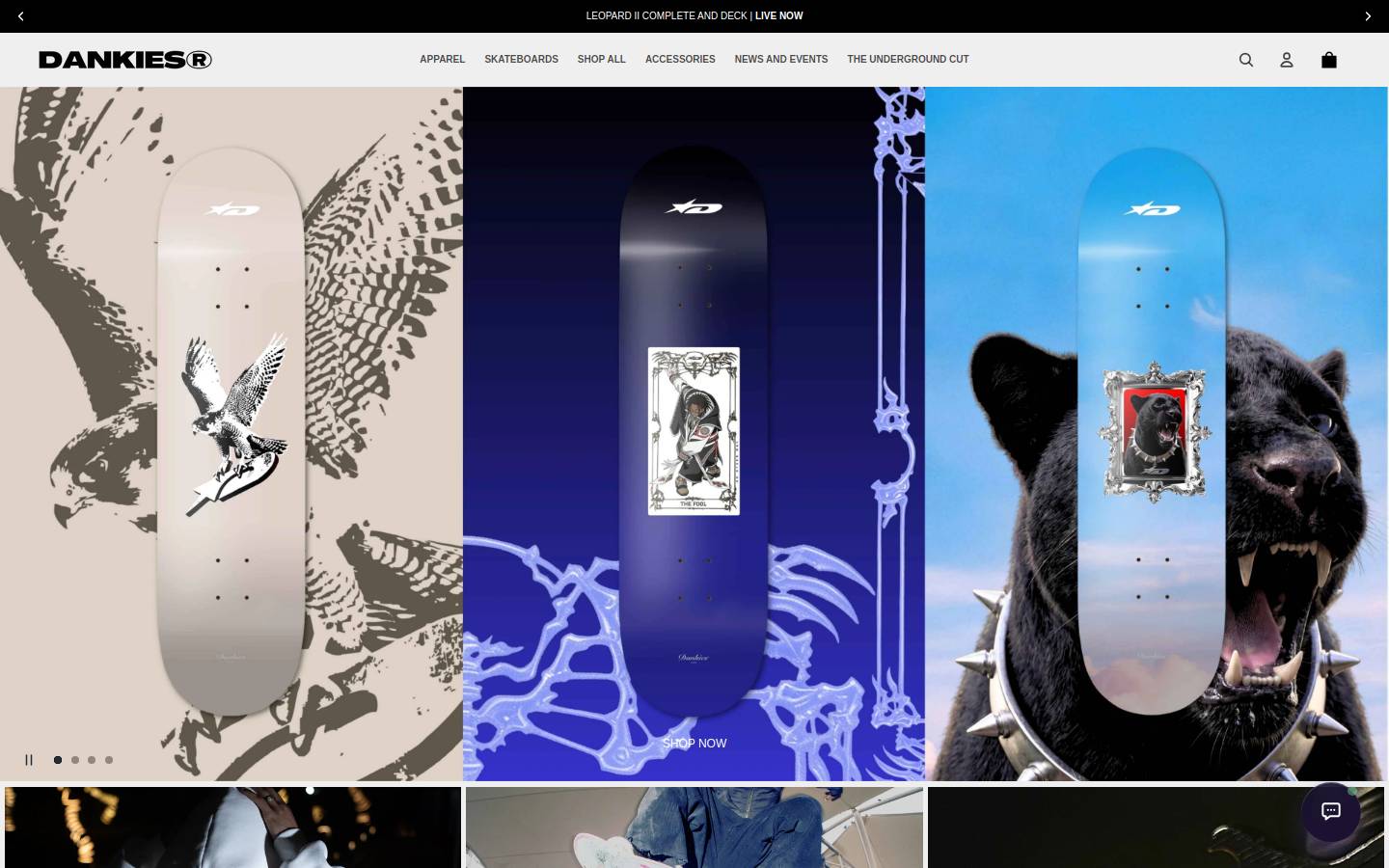 dankiesskateboards.com homepage screenshot