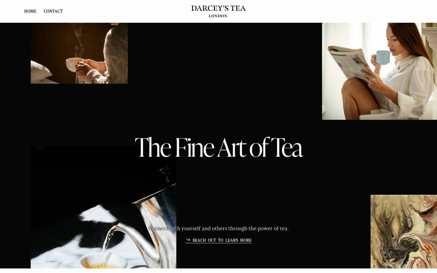 darceystea.com homepage screenshot