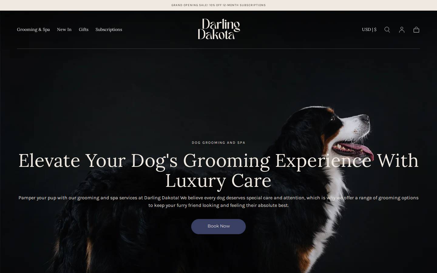 darlingdakota.com homepage screenshot