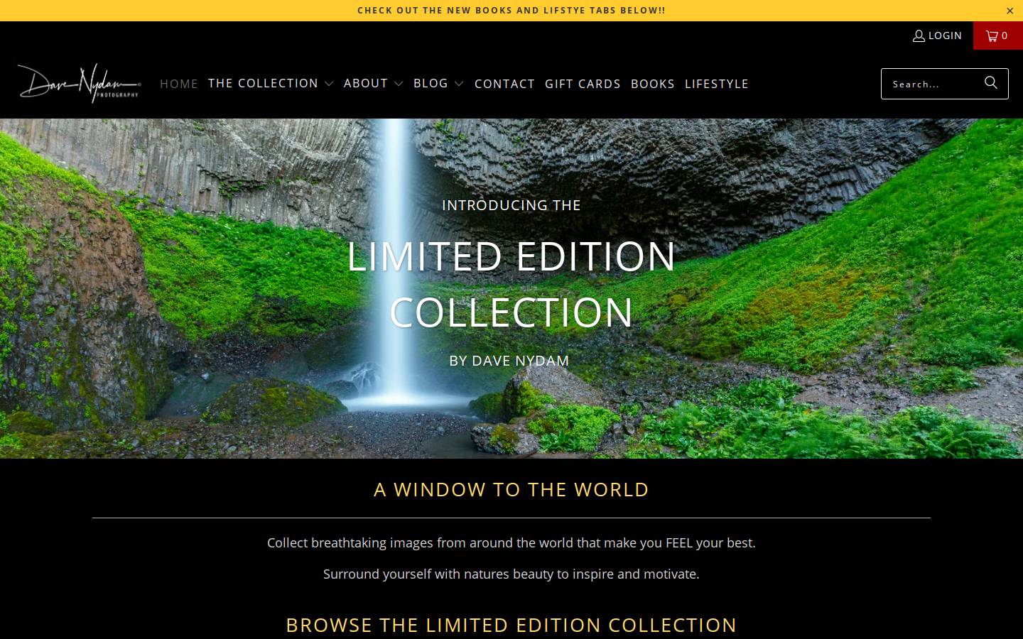 davenydam.com homepage screenshot