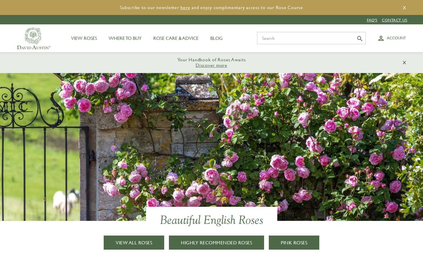 Davidaustinrosesaustralia homepage screenshot