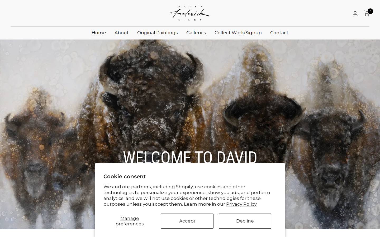 davidfrederickriley.com homepage screenshot