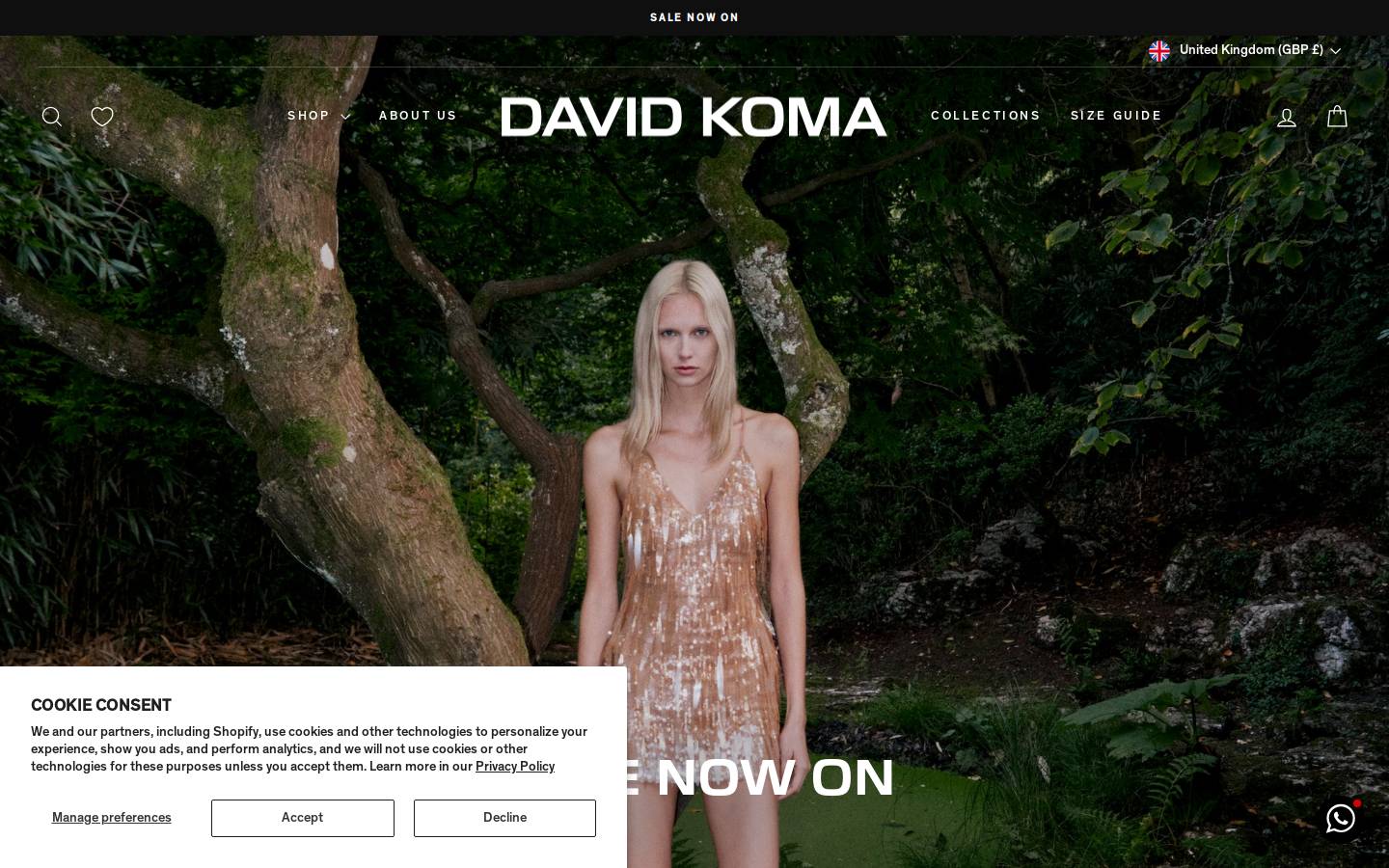 davidkoma.com homepage screenshot