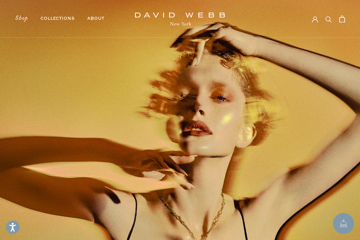 David Webb homepage screenshot