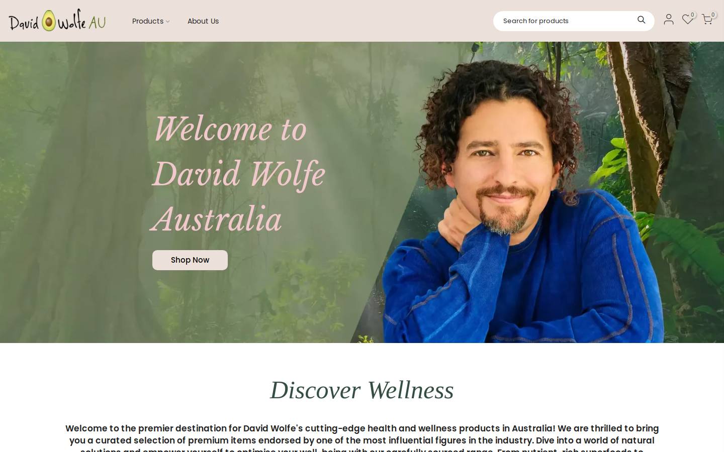 davidwolfe.com.au homepage screenshot