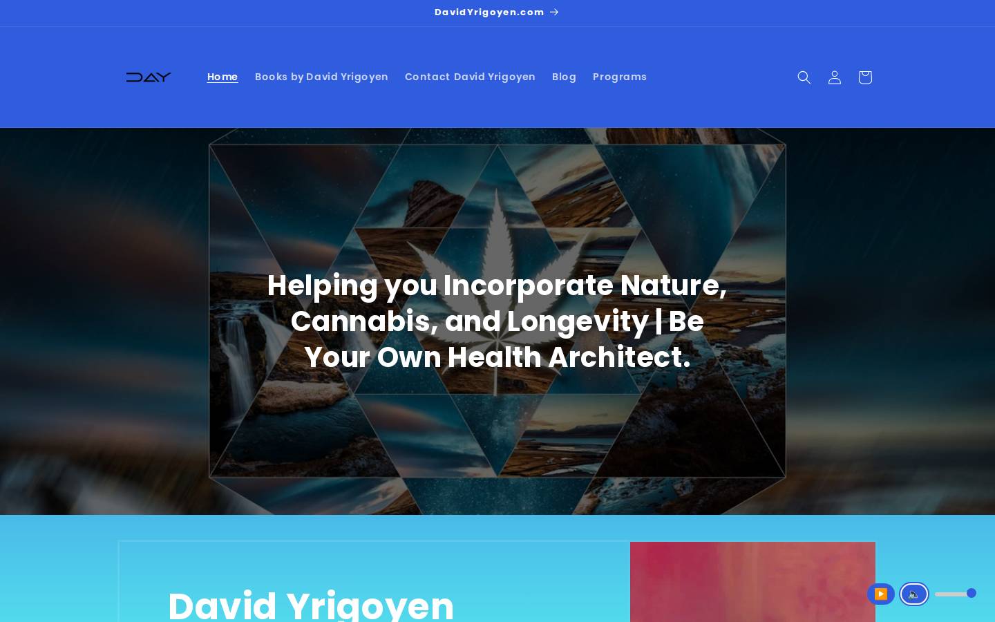 davidyrigoyen.com homepage screenshot