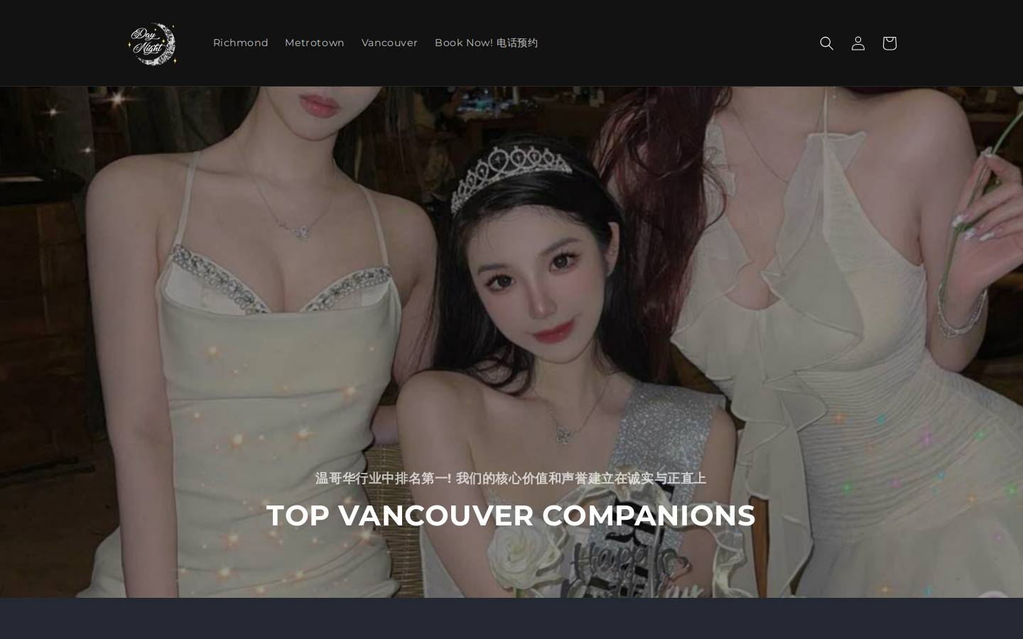 daynight.vip homepage screenshot