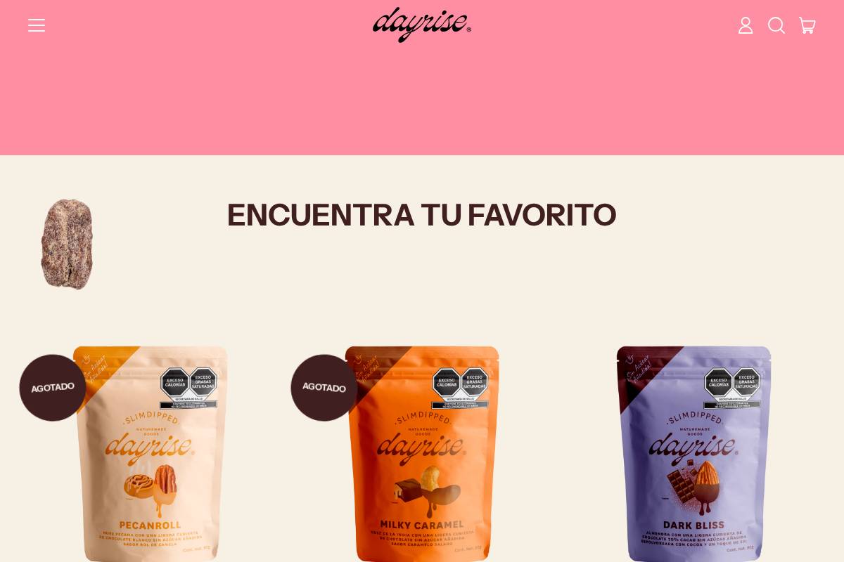 dayrise.mx homepage screenshot