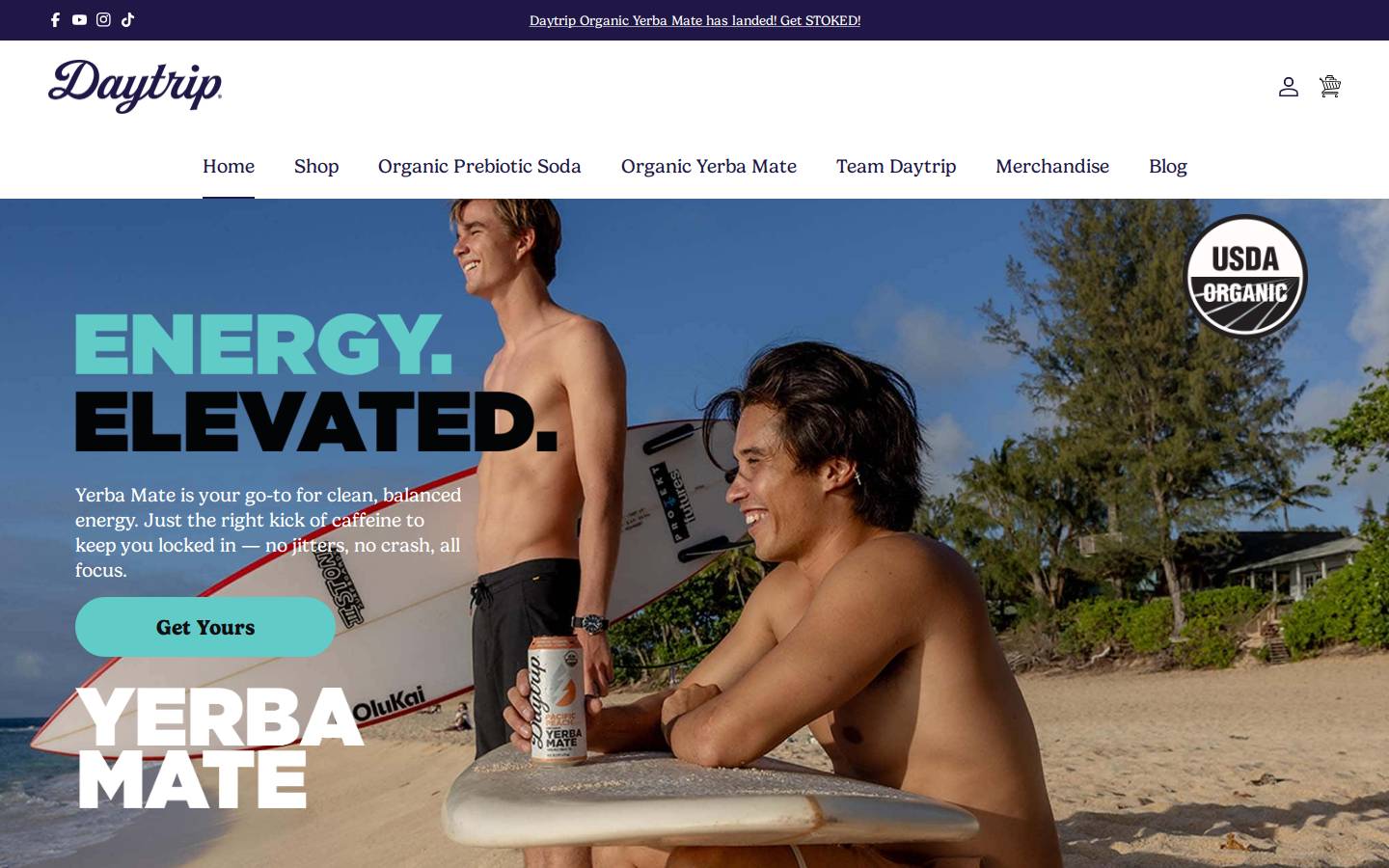 daytripnaturals.com homepage screenshot