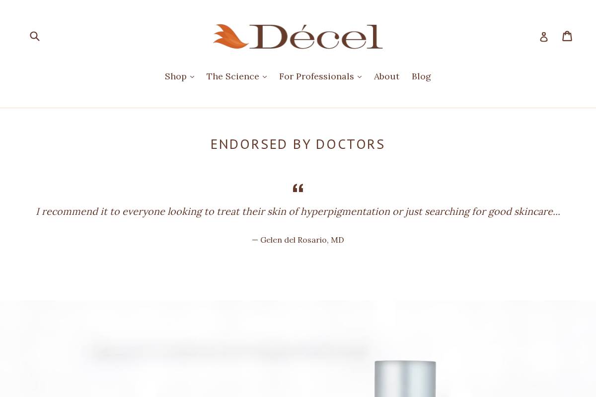decel.com homepage screenshot
