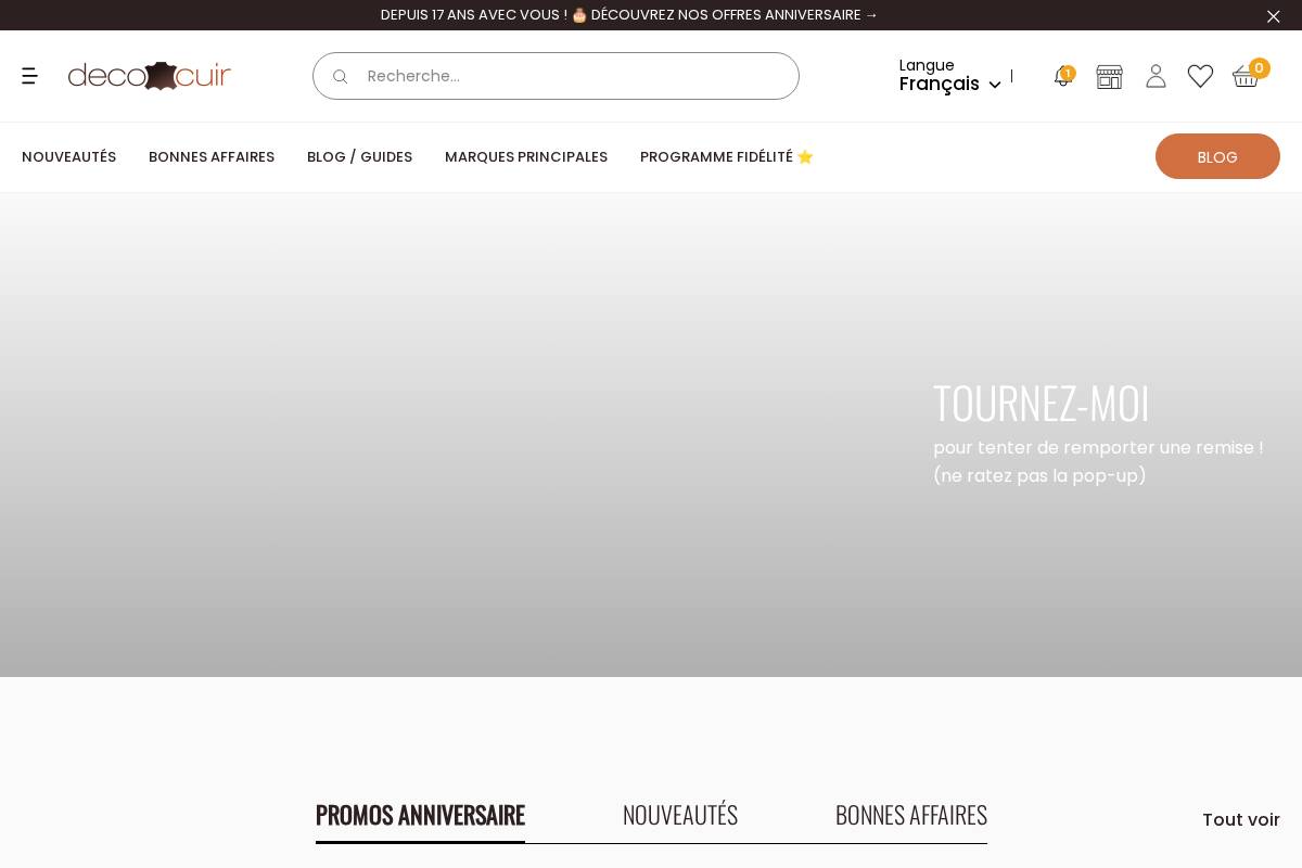 Deco Cuir homepage screenshot