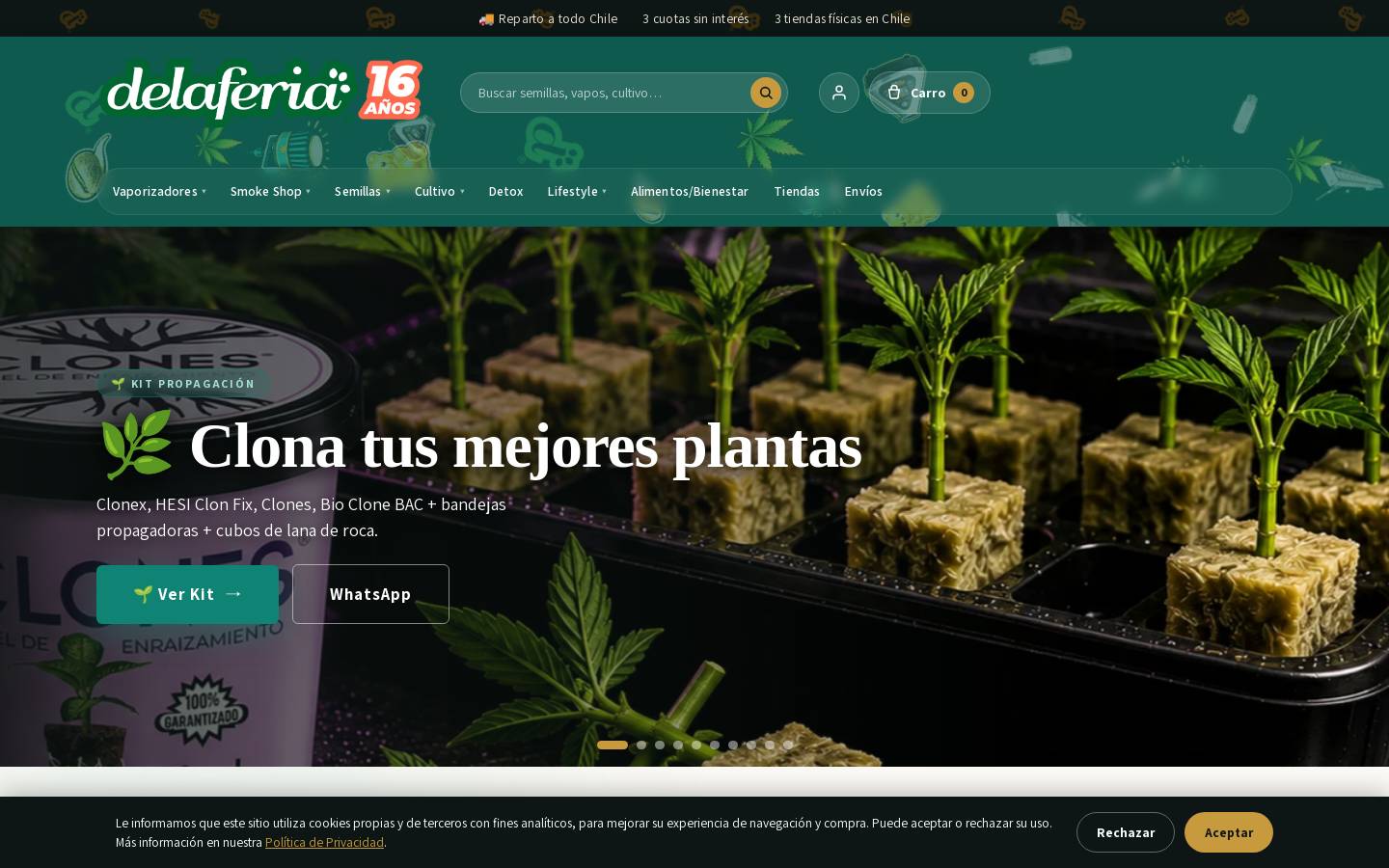 delaferia.cl homepage screenshot