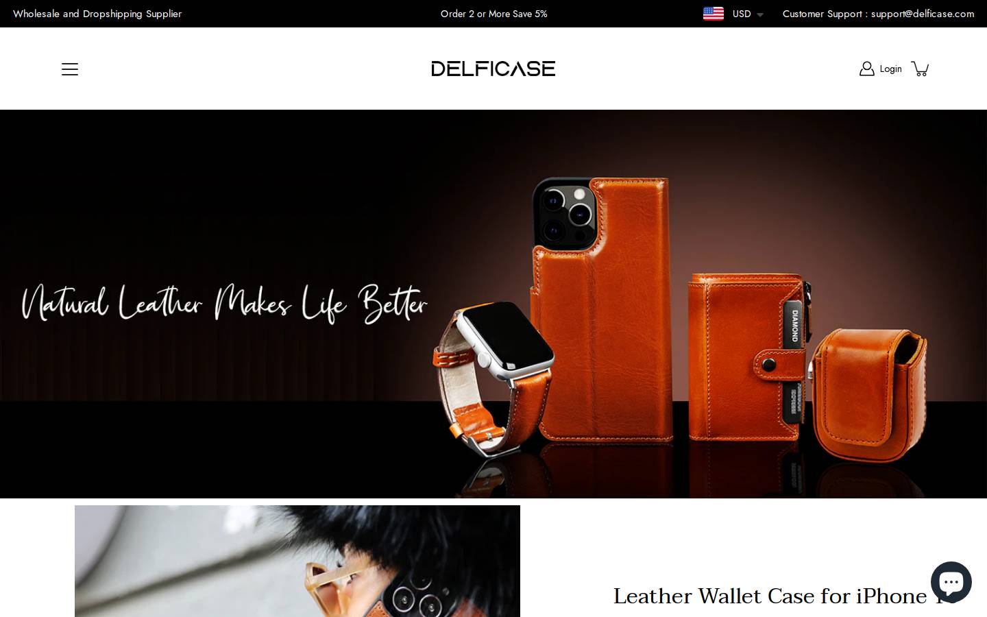 delficase.com homepage screenshot