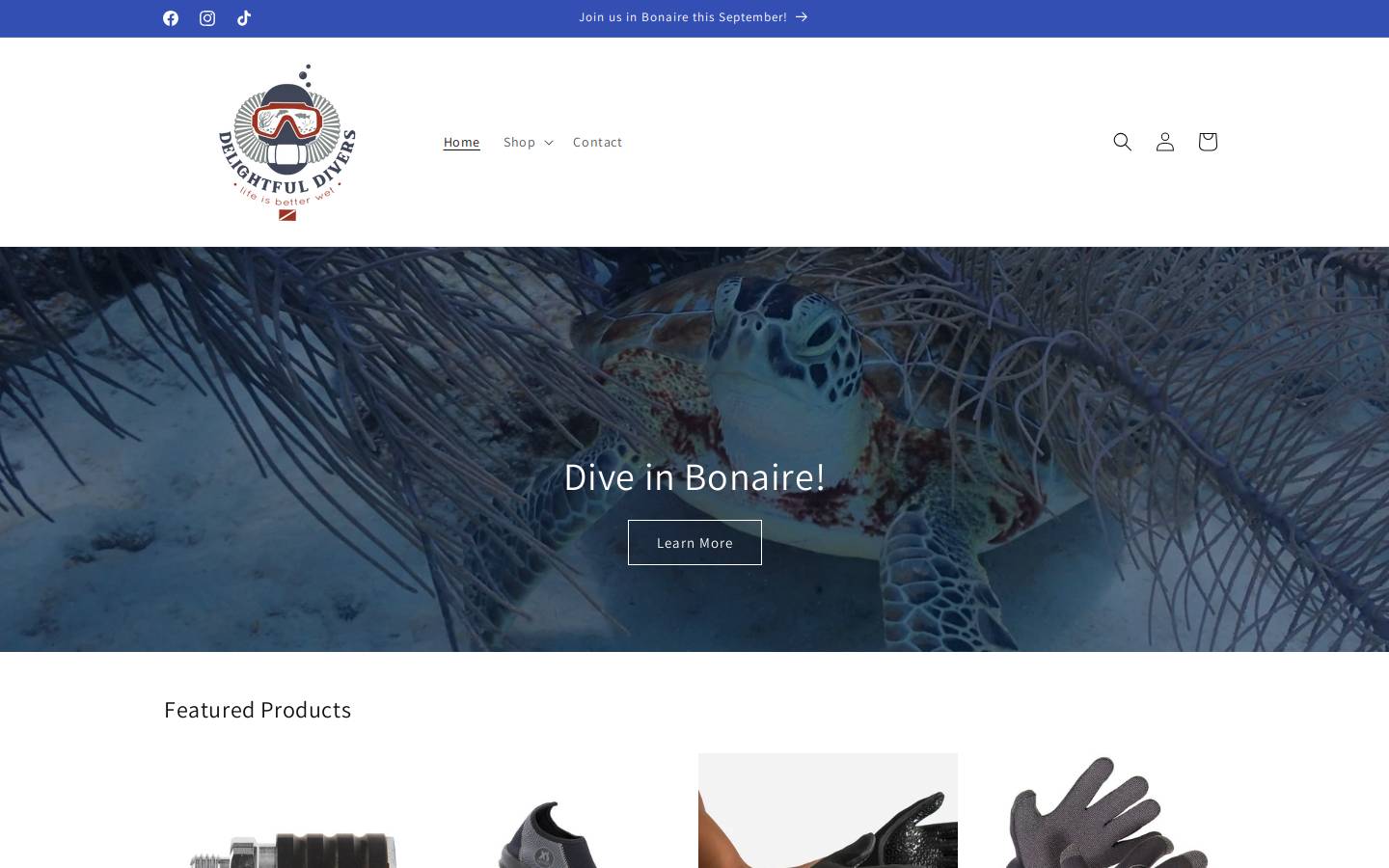 delightfuldivers.com homepage screenshot