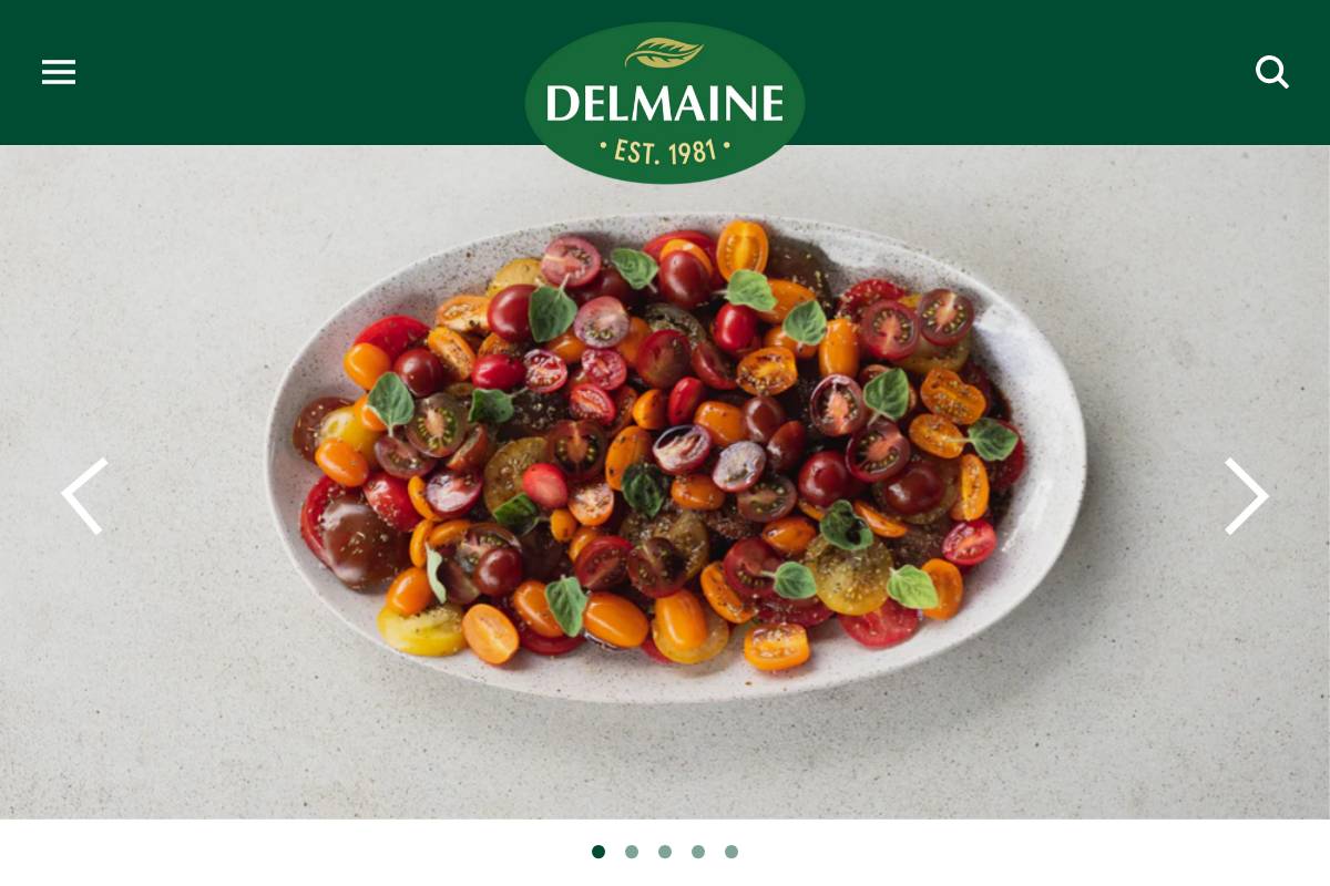 delmaine.co.nz homepage screenshot