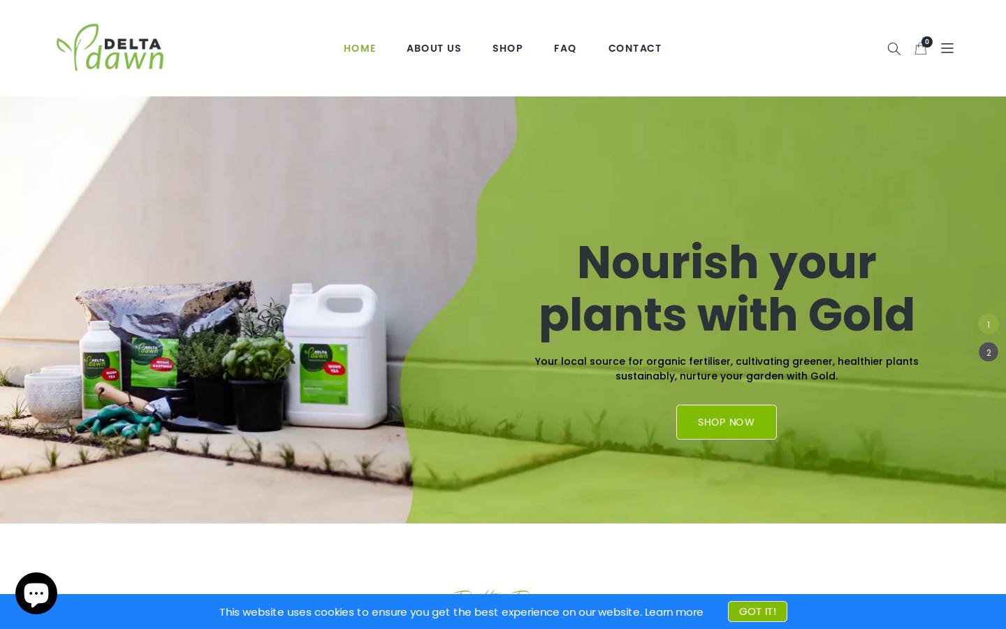 deltadawn.co.za homepage screenshot