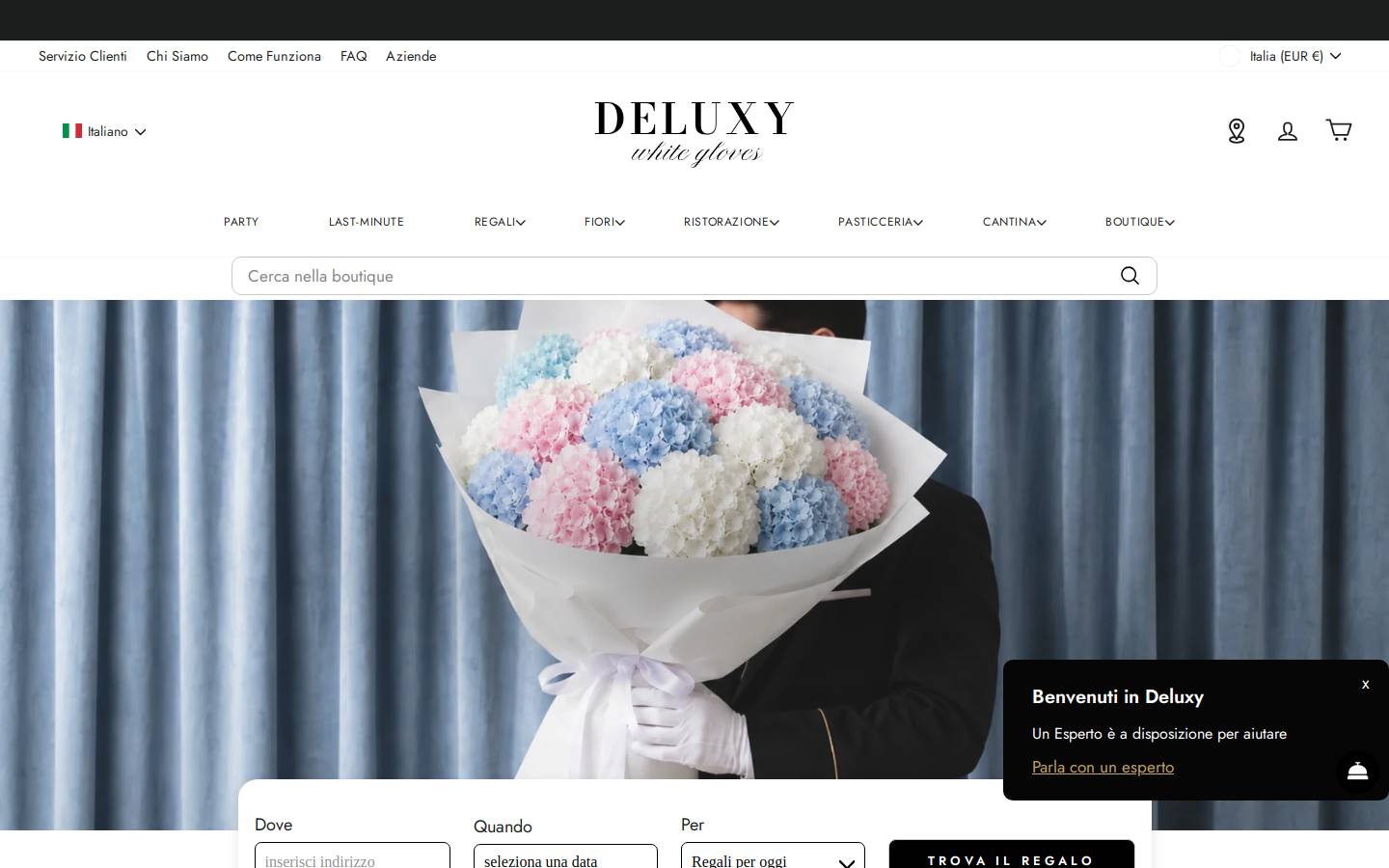 Deluxy SRL homepage screenshot