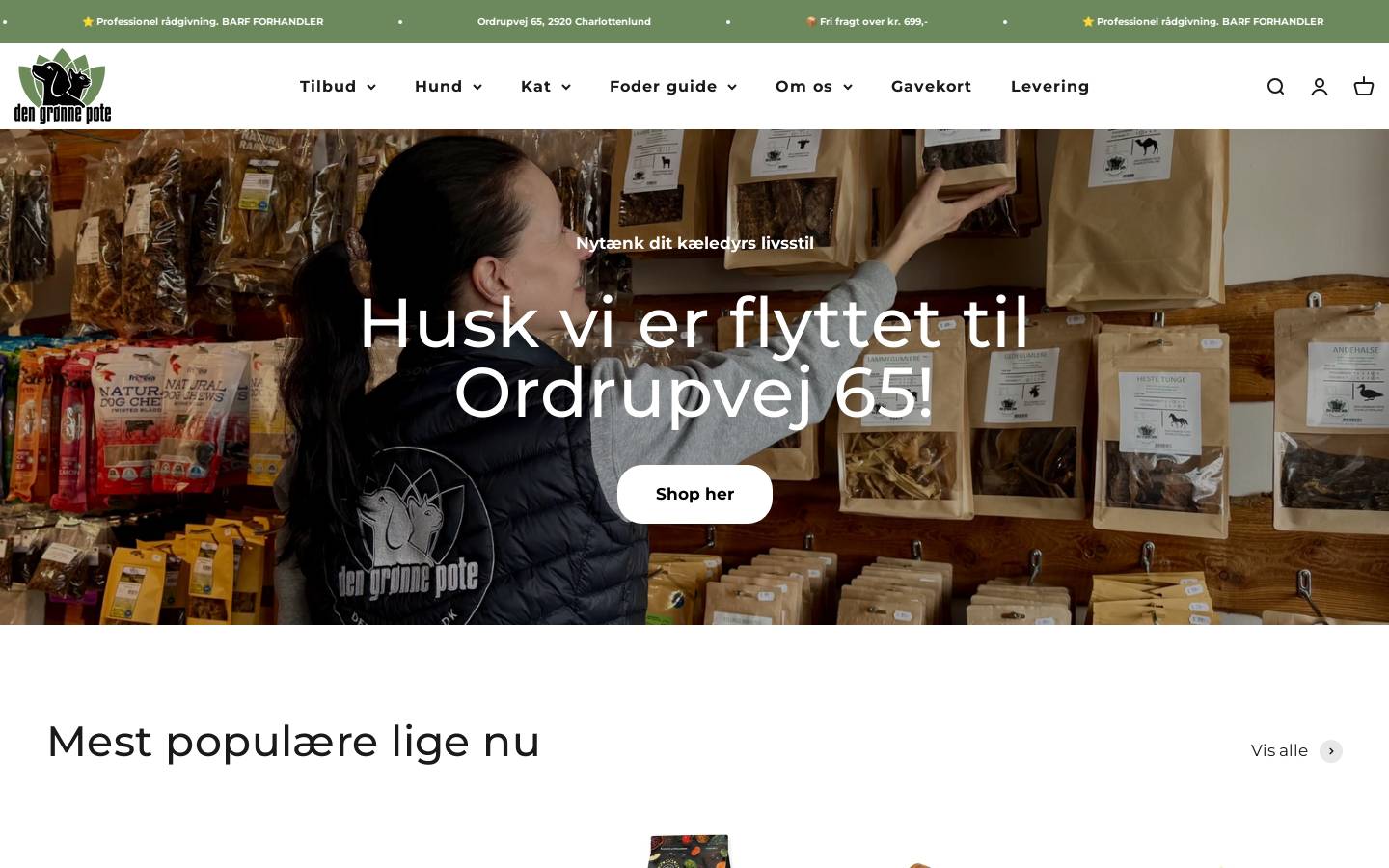 Dengronnepote homepage screenshot