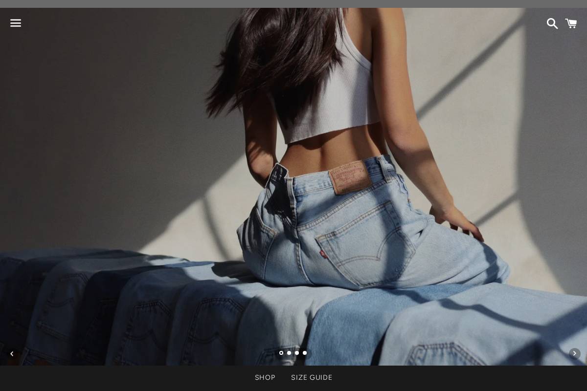 denimbyorlee.com homepage screenshot