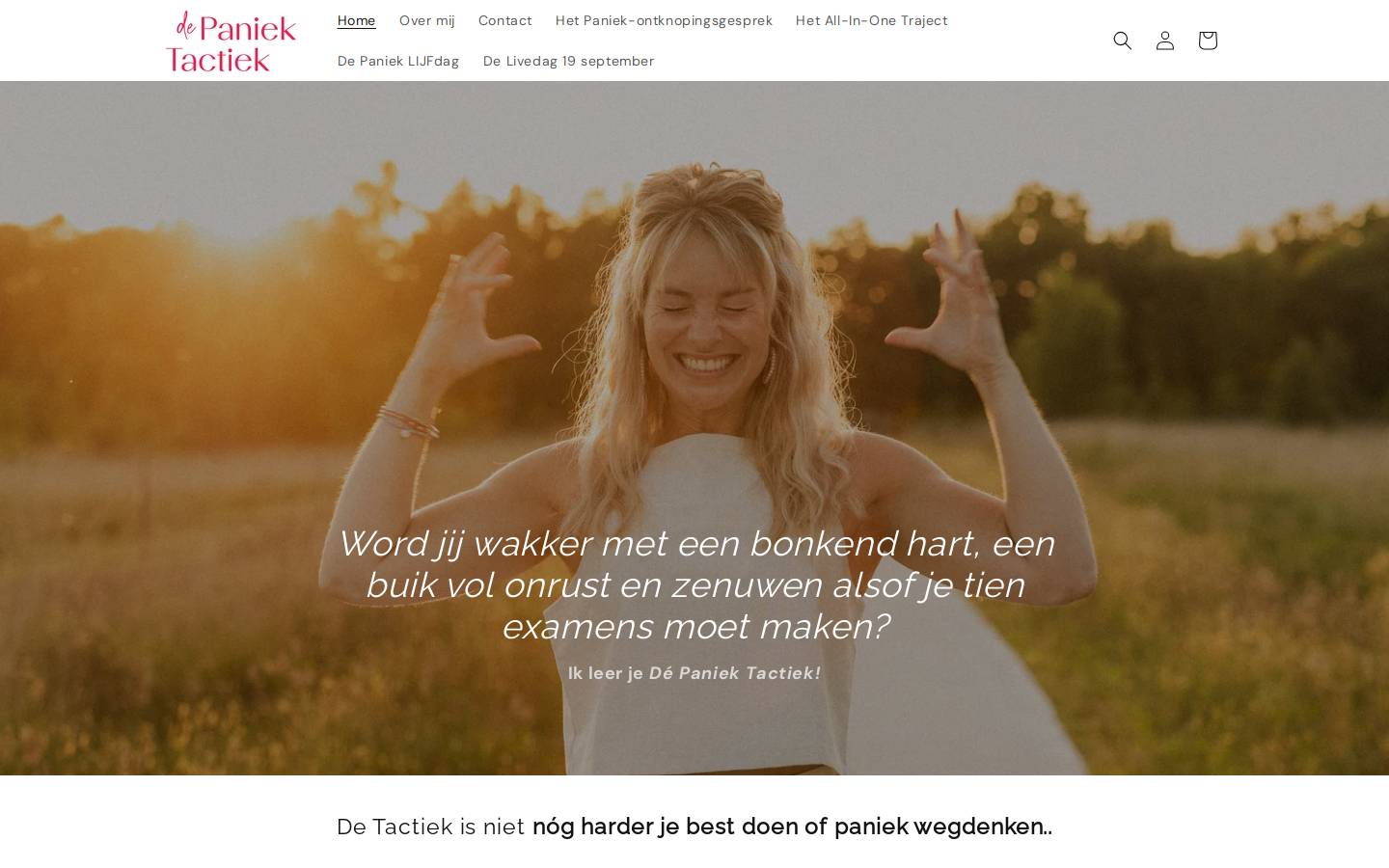 De Paniek Tactiek homepage screenshot