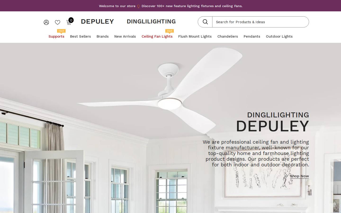 Depuley homepage screenshot