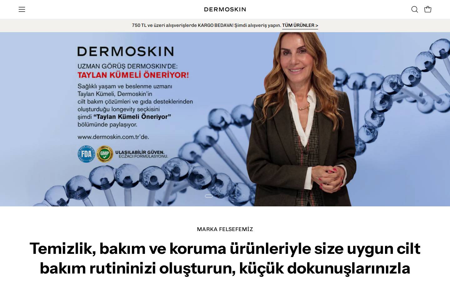 dermoskin.com.tr homepage screenshot