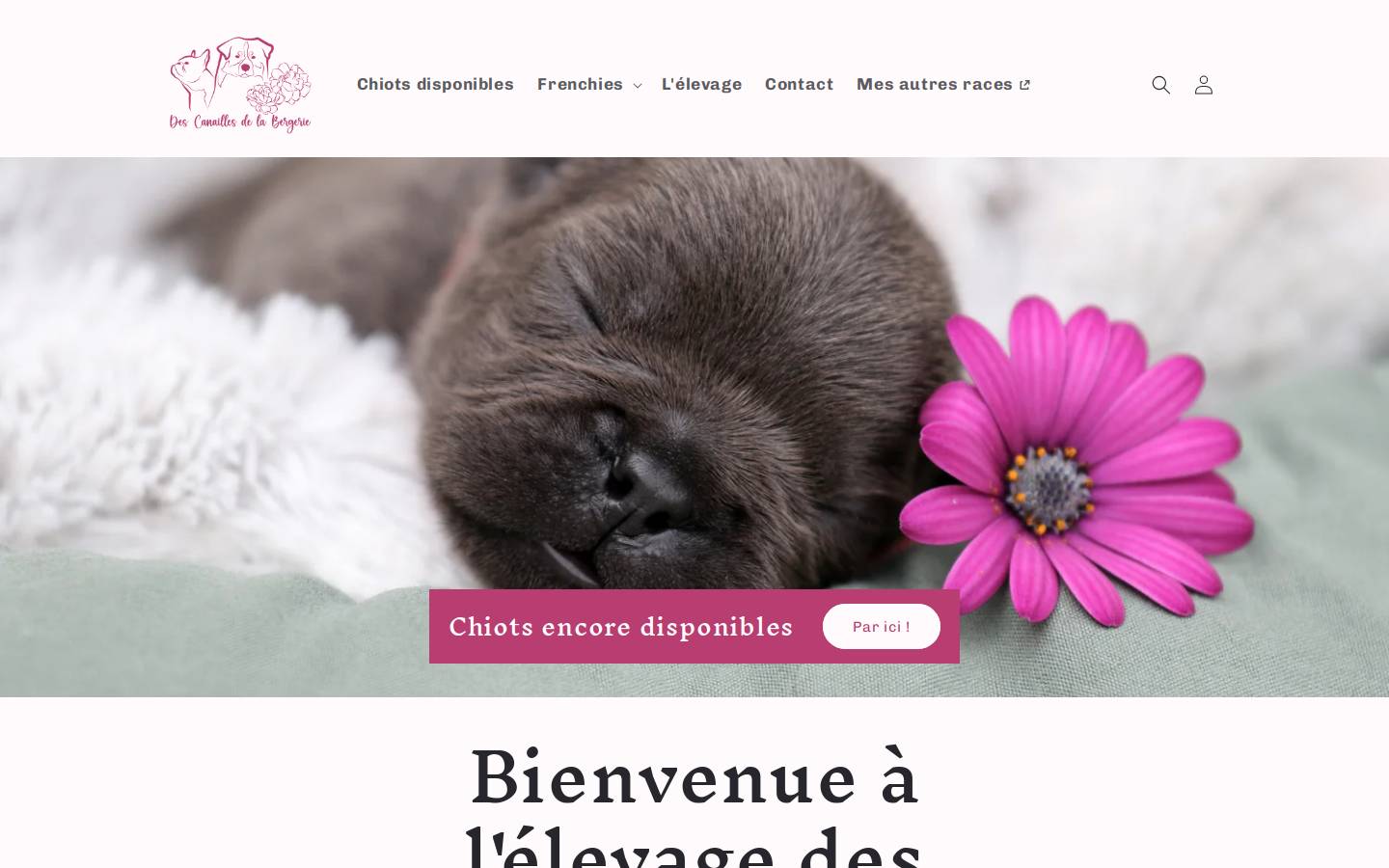 des-canailles-de-la-bergerie.com homepage screenshot