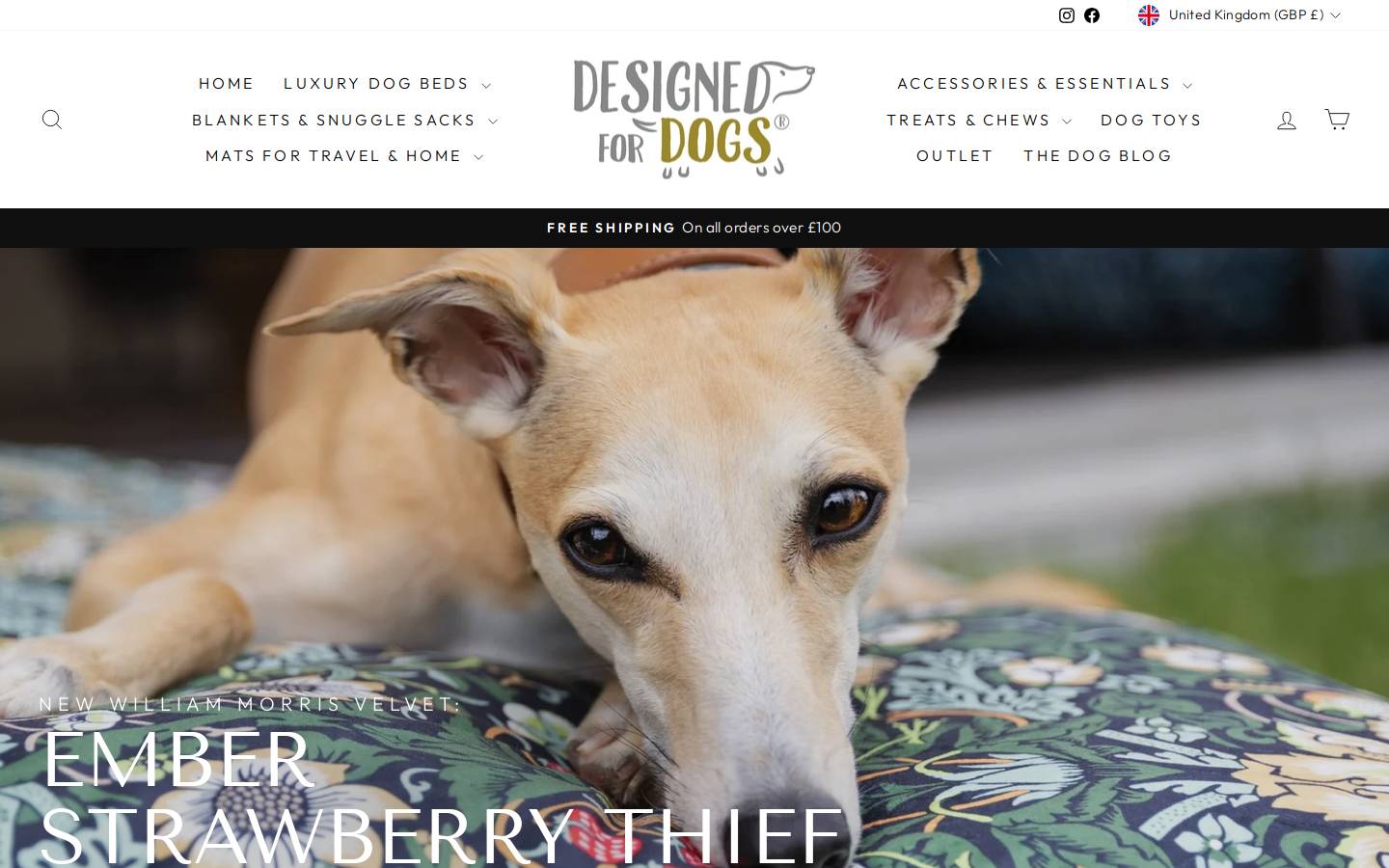 designedfordogs.co homepage screenshot